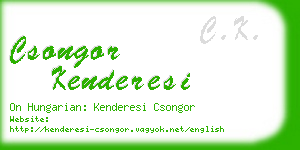 csongor kenderesi business card